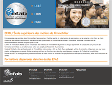 Tablet Screenshot of efab.fr
